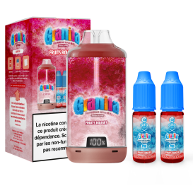 Puff Hybride Fruits Rouges Big Puff - Granita - Alfaliquid